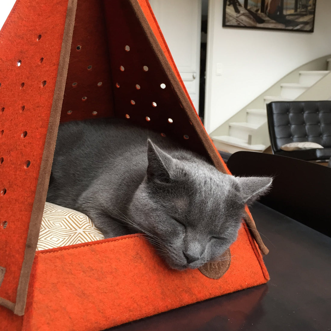 Niche d’intérieur pour chien et chat : un cocon design et pratique